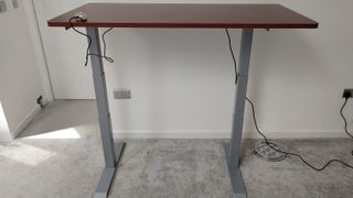 Flexispot Adjustable Flexispot Standing Desk E7, at maximum height