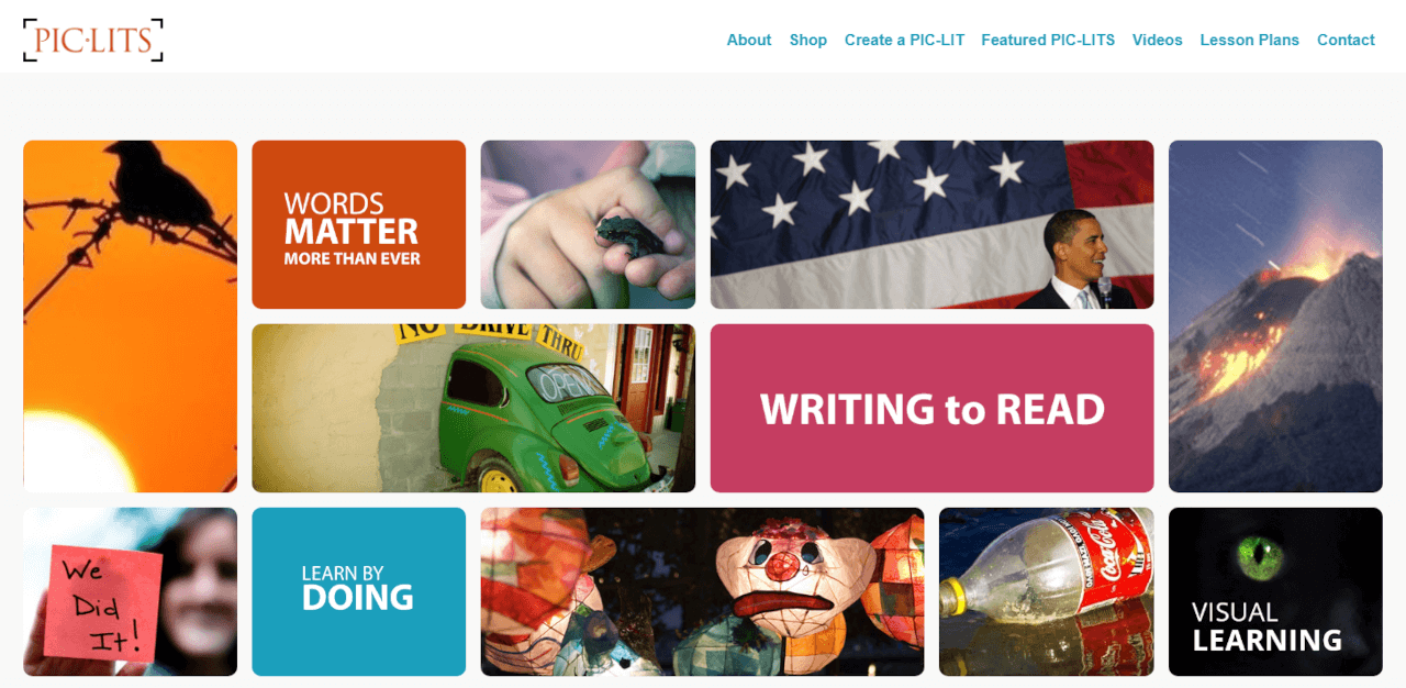 PIC-LITS homepage
