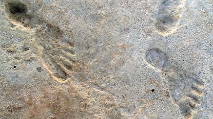 Fossilised human footprints at White Sands National Park in New Mexico