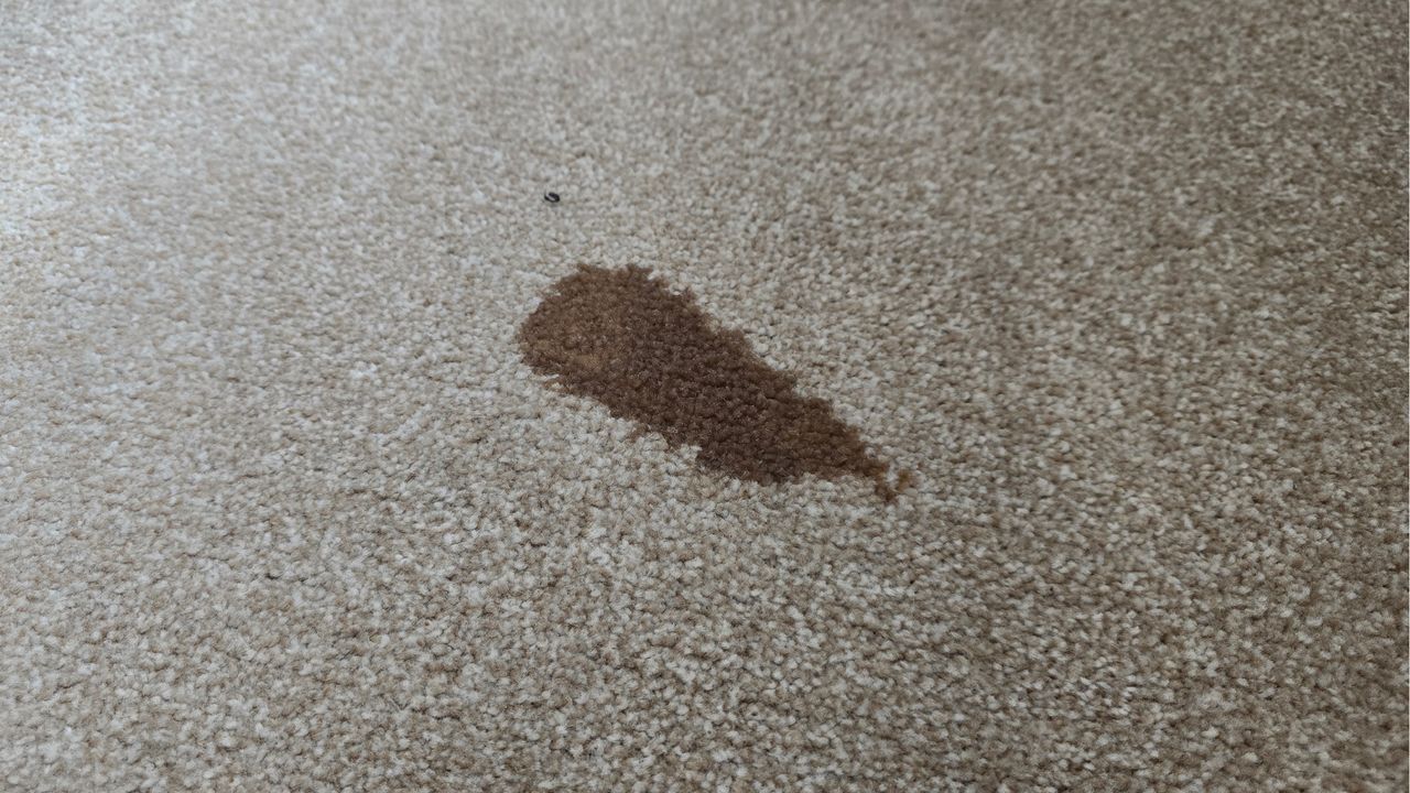 Coffee stain on carpet