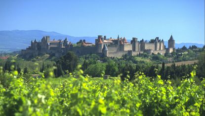 patrimoine_carcassonne_1.jpg