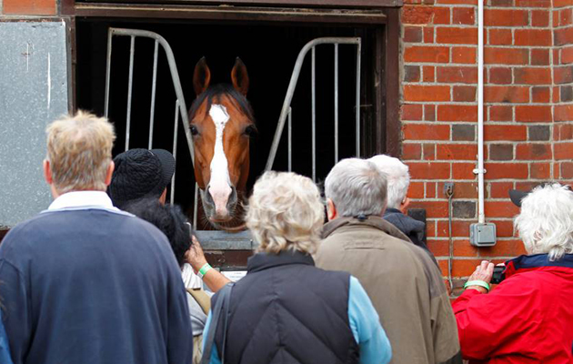 Newmarket-Open-Day-01.jpeg