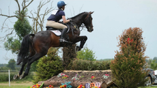 Colin-1.png