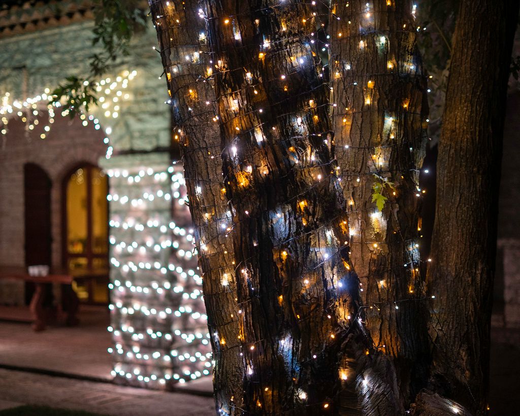 Christmas Light Ideas For Outdoor Trees 12 Ways To Add Instant Sparkle   Fd7WZzrxipcaftrtXFr8fG 1024 80 