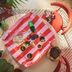 Pink and red stripe potting mat on a table with pot plants