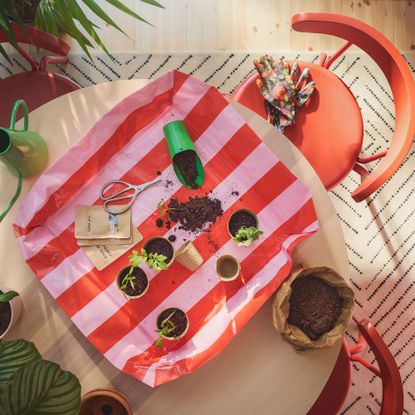 Pink and red stripe potting mat on a table with pot plants