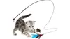 GingerUP Cat Toy Cat Feather Toys