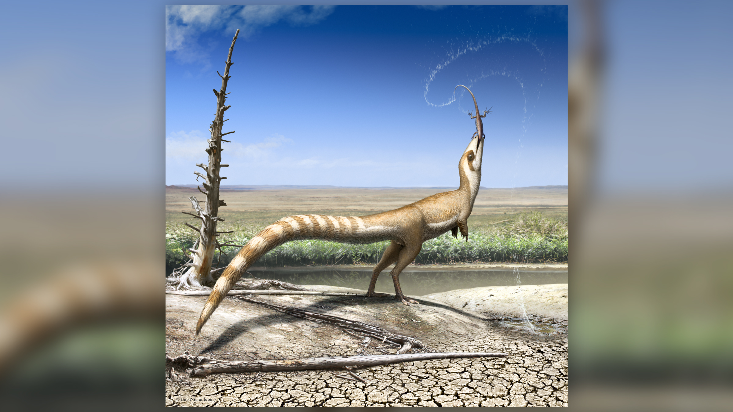 The small bipedal dinosaur Sinosauropteryx had a raccoon-like face mask and countershading when it hunted prey during the Cretaceous period.