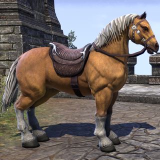 A Palomino horse standing proud, blissfully unaware he costs $10