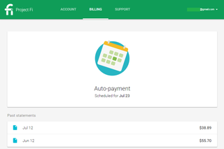 Project Fi billing