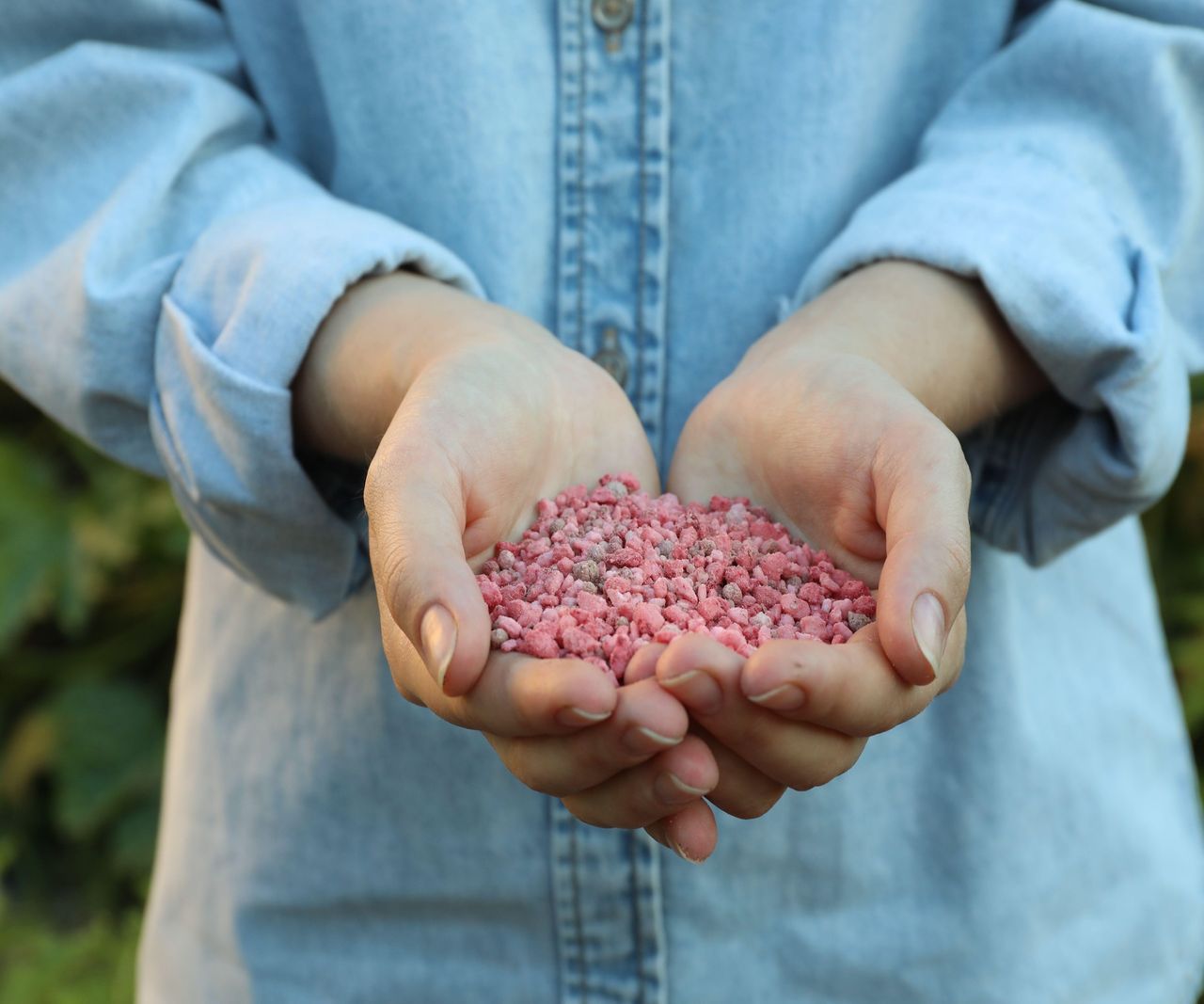 WHY USE FERTILIZER ON PLANTS visual data 5