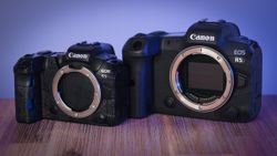 Canon EOS Rx rumours and specs | Digital Camera World