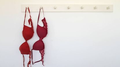 M&S Bras