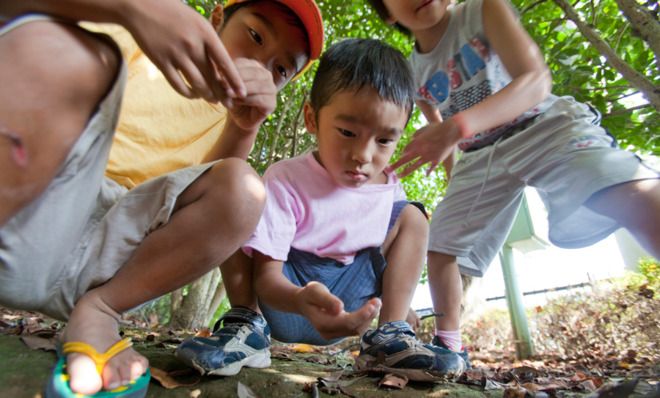 Curious kids