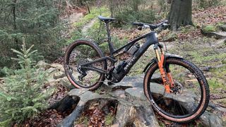 Whyte's E-Lyte 140 Works in a woodland setting