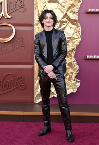 Timothée Chalamet attends the LA premiere of 'Wonka' looking like a chocolate bar.
