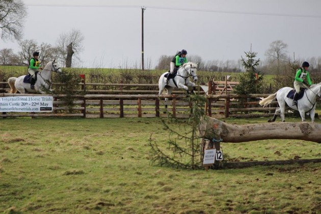 Jumping out of the pen