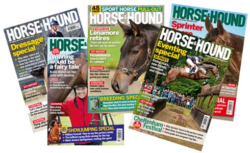 Horse &amp; Hound magazines