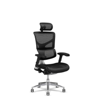 X-Chair X2 K-Sport Mesh Management Office Chair