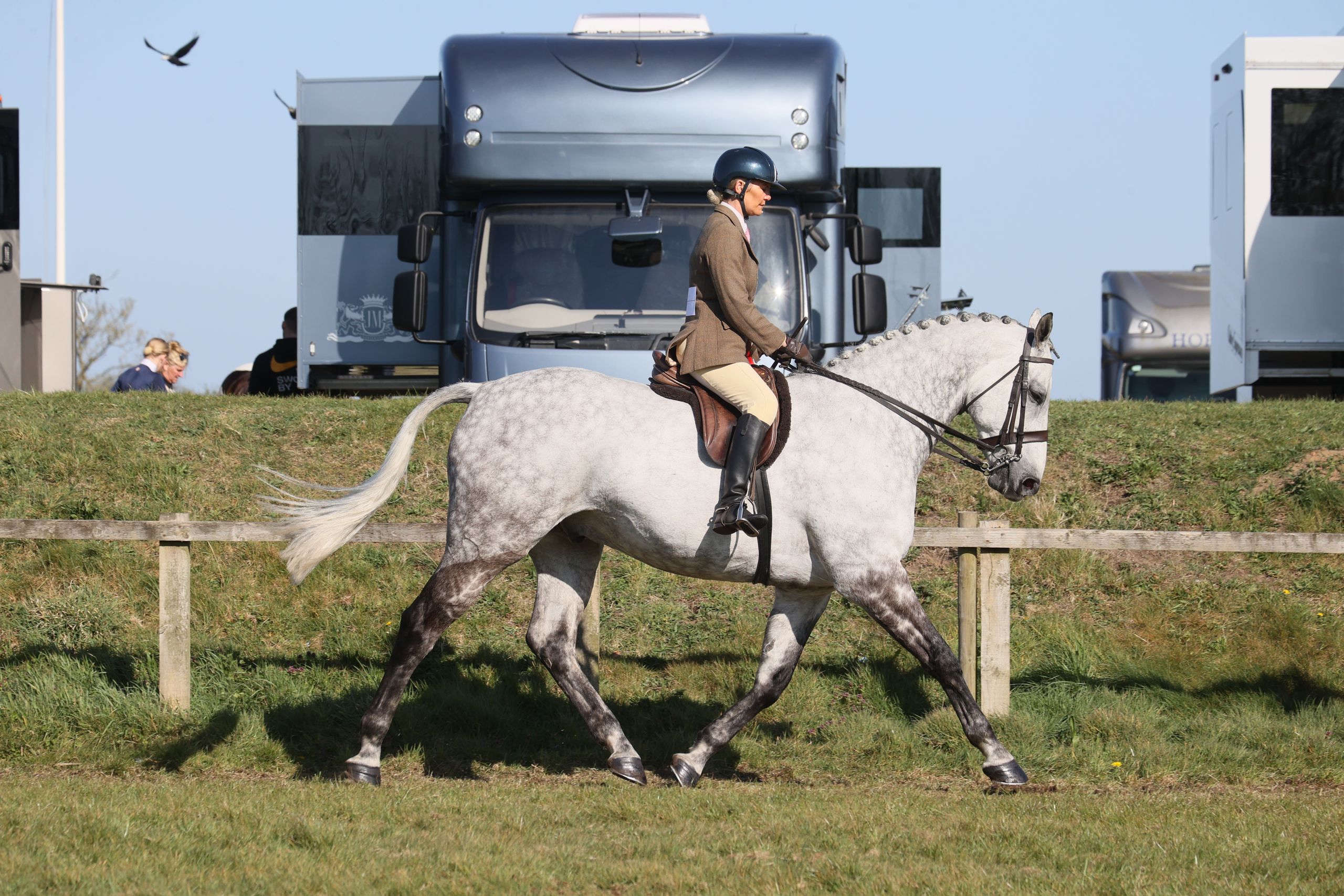 Sarah Walker makes comeback after injury | Horse & Hound