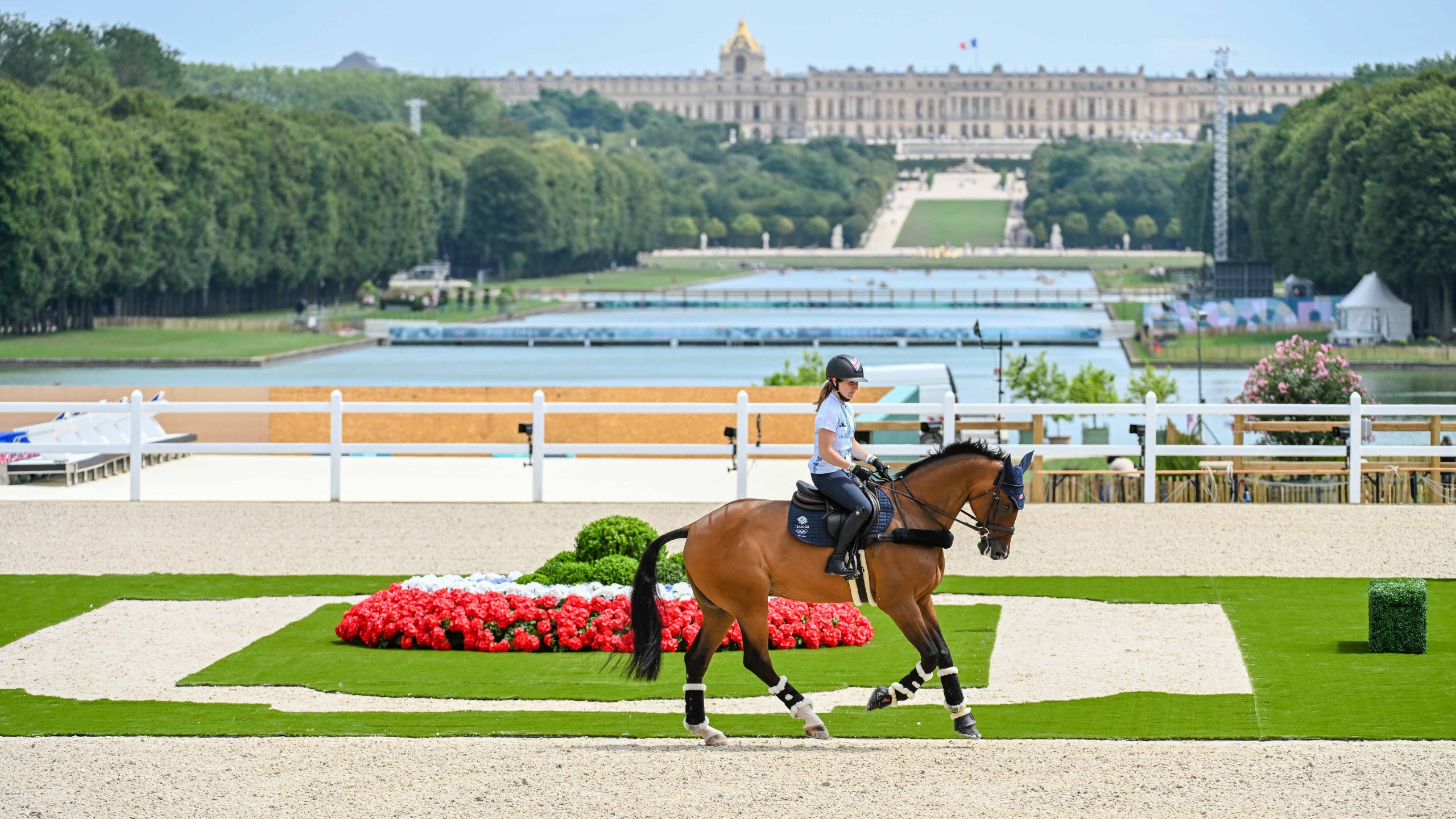 British Olympic event horses