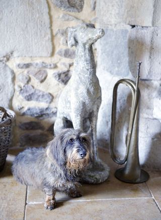 Sausage dog next to a dog statue