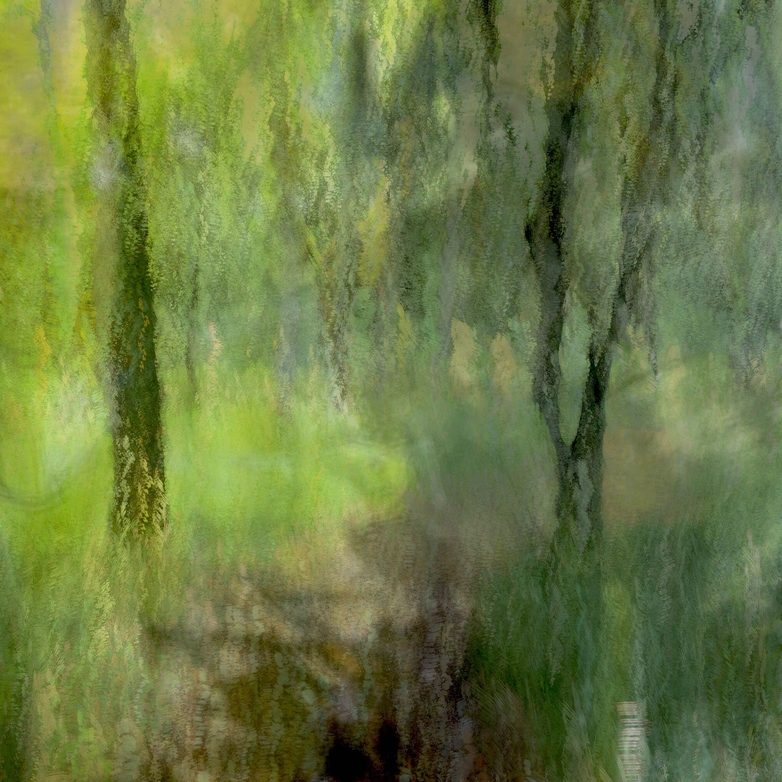 An example of an Intentional Camera Movement photo in the woods