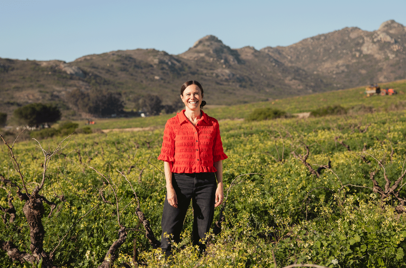 ‘It has been a defining decade for the Cape’s wine industry and the next 10 years are even more exciting’