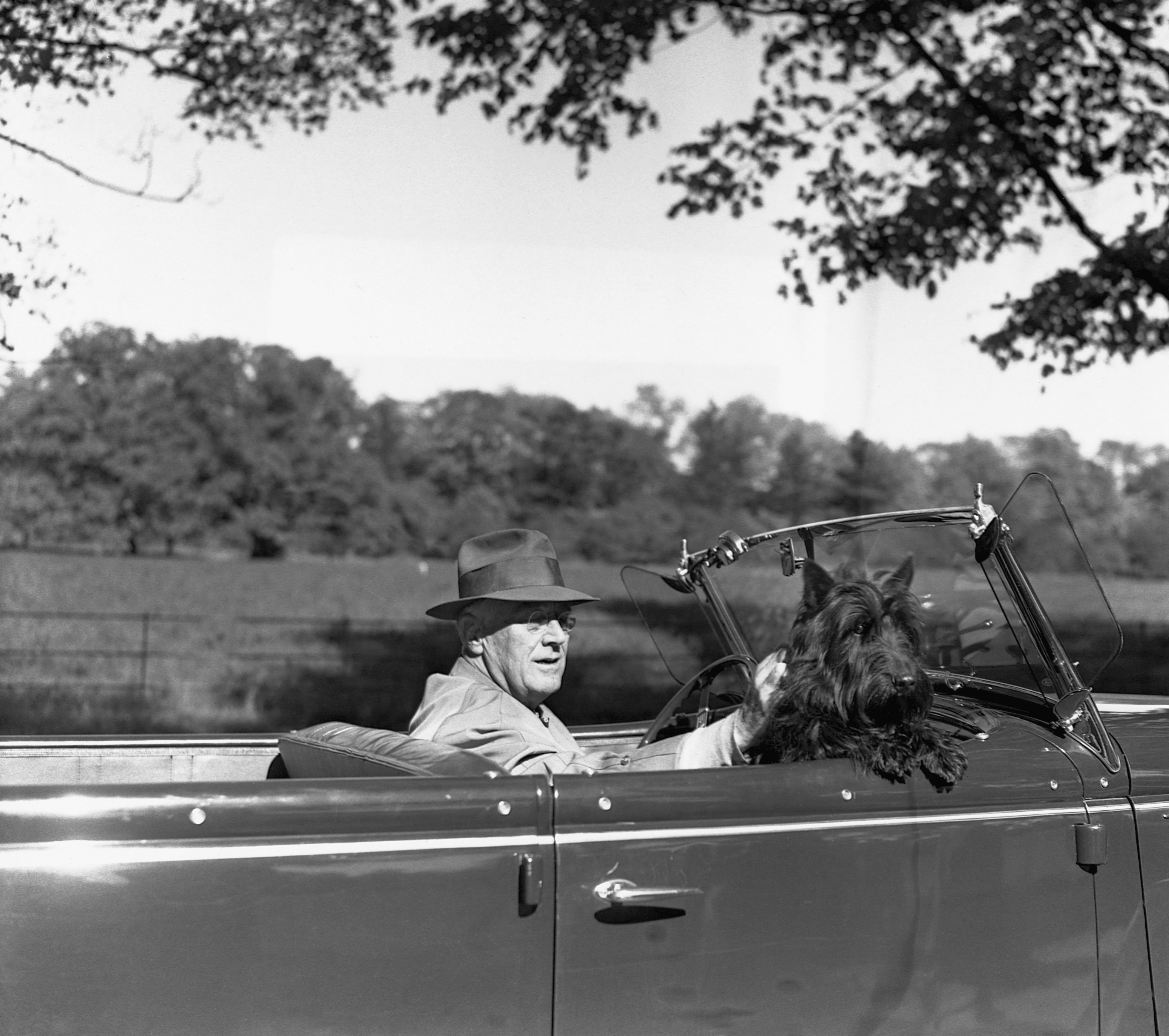 President Franklin D. Roosevelt driving an open-top car with his Scottish terrier, Fala, seated beside him during a leisurely drive at Hyde Park, New York, photographed in black and white.