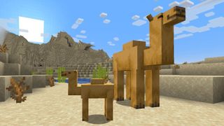 Minecraft 1.20 - A camel and baby camel standing in the desert together