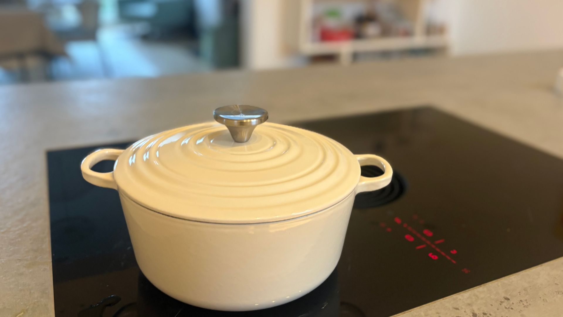 Testing the Habitat Cast Iron Casserole Dish