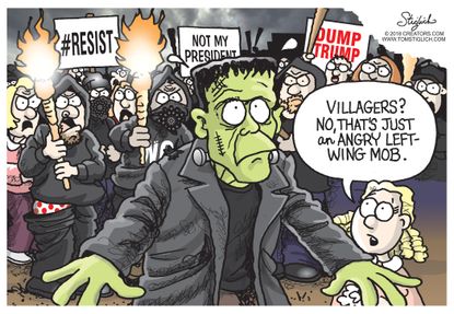 U.S. Frankenstein angry left wing mob Democrats