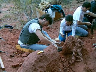 Study lead researcher Juan Porfiri (left) and students excavate vertebrae of the newly discovered dinosaur Tratayenia rosalesi at the Tratayén site in Neuquén Province, Patagonia, Argentina.