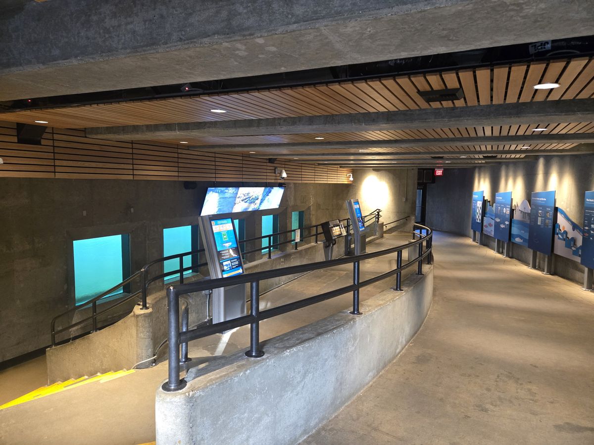 Inside an observation room