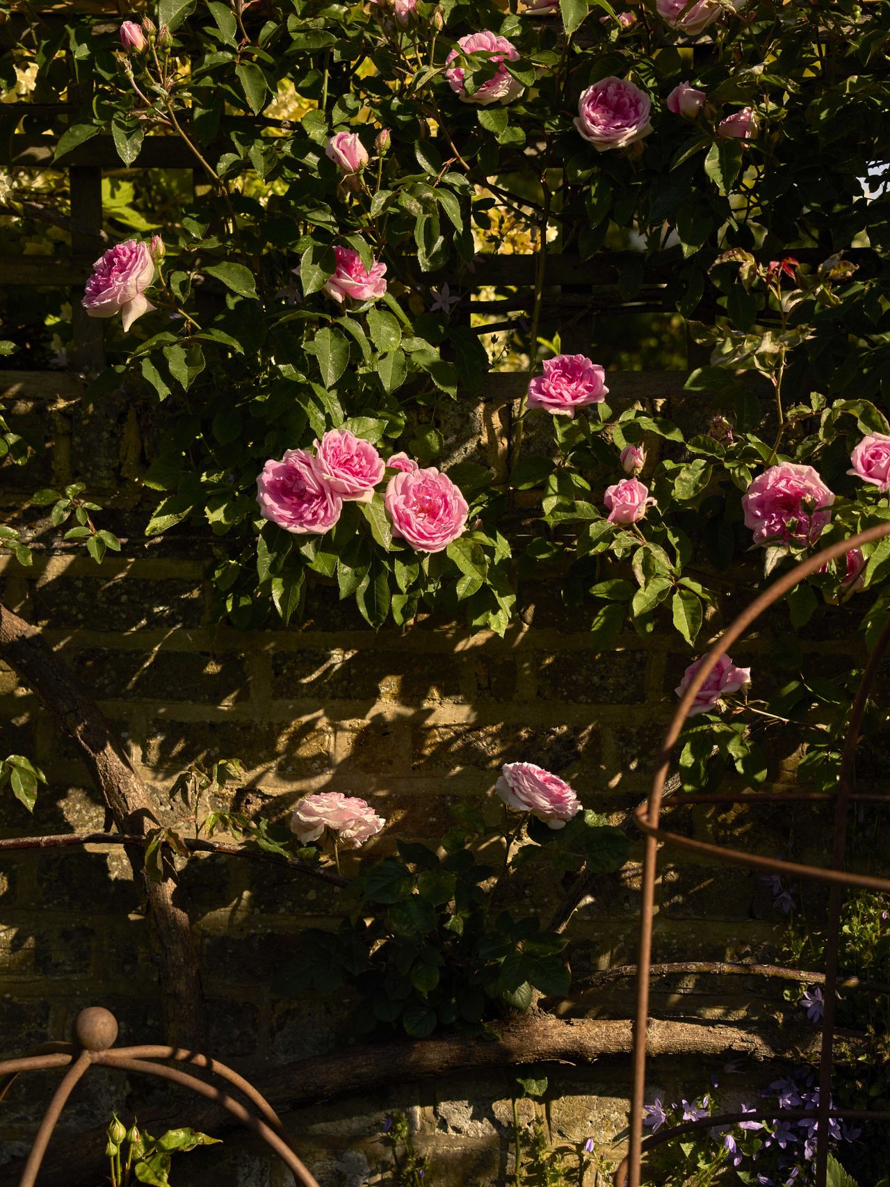 Butter Wakfield West London house and garden