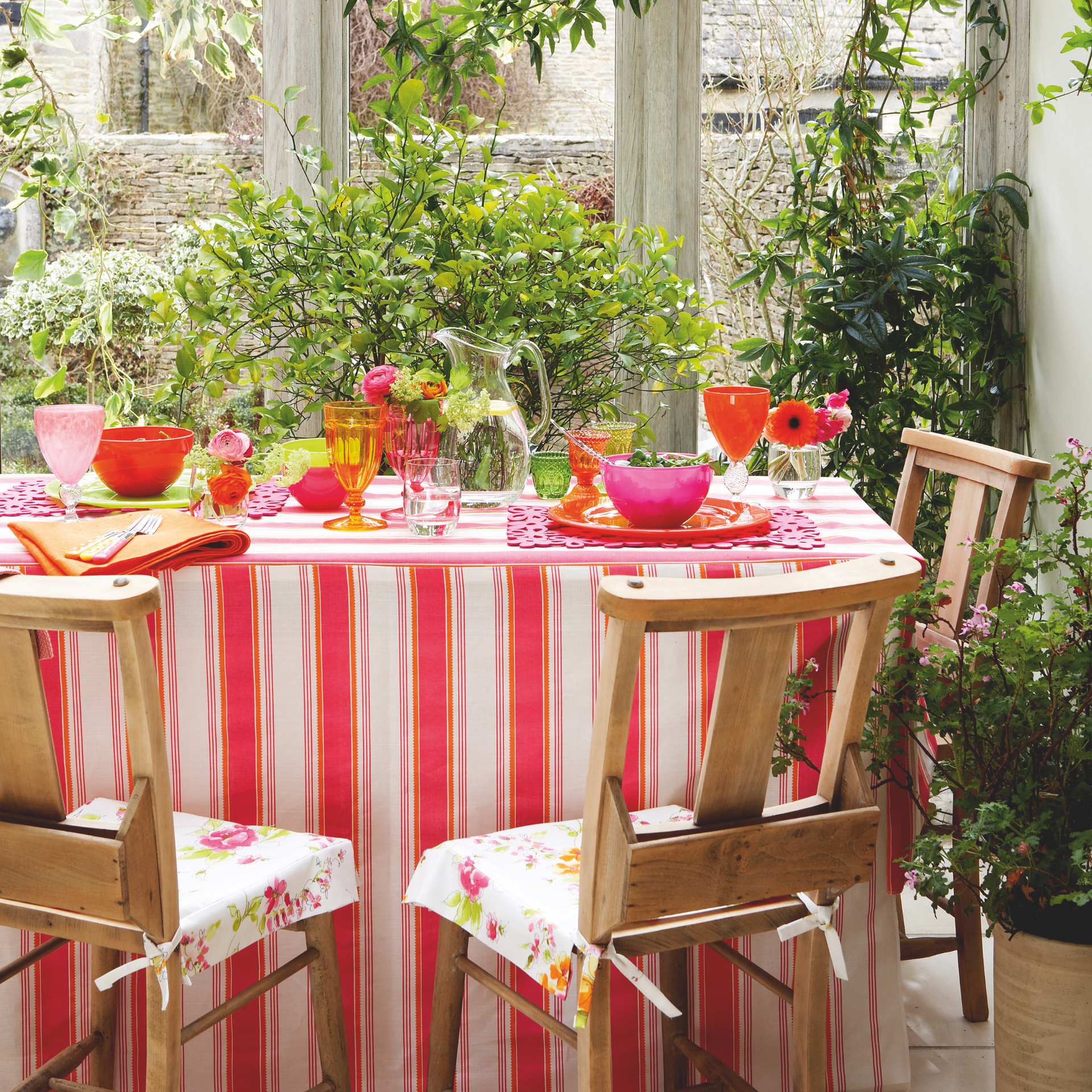 Conservatory, assorted plants and foliage, set table with red striped tablecloth, red and pink tableware and glassware