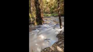 Highlights on surface of water, woodland stream