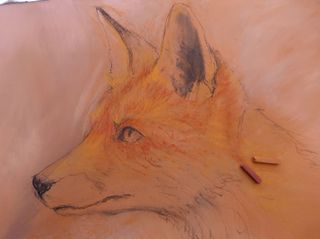 how to draw a fox - image of a fox in pastels