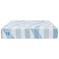 14. Sealy Dreamlife 10” Foam Mattress:was $429now $299.96 at Amazon