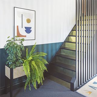 Houseplants in square planter at bottom of stairwell including fern plant