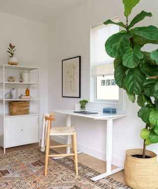 Neutral home office with wooden chair, white minimal desk, large indoor plant in rattan pot, shelving unit with home decor