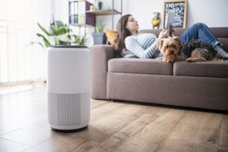 Woman next to an air purifier