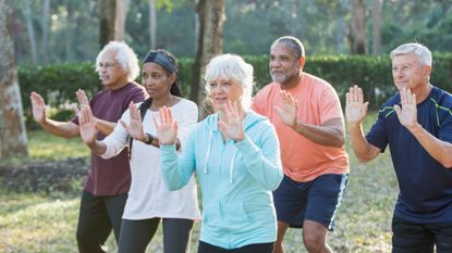 Group of people practicing Tai Chi in a park