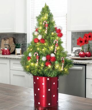 Candy Cane Swirl Decorated Christmas Tree