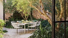 An outdoor dining table in a courtyard with trees and plants all around