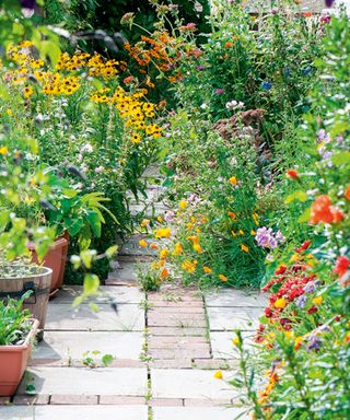 A pretty and colourful closeup of a private UK cottage style Summer garden border in full bloom with flowers overflowing onto the path.