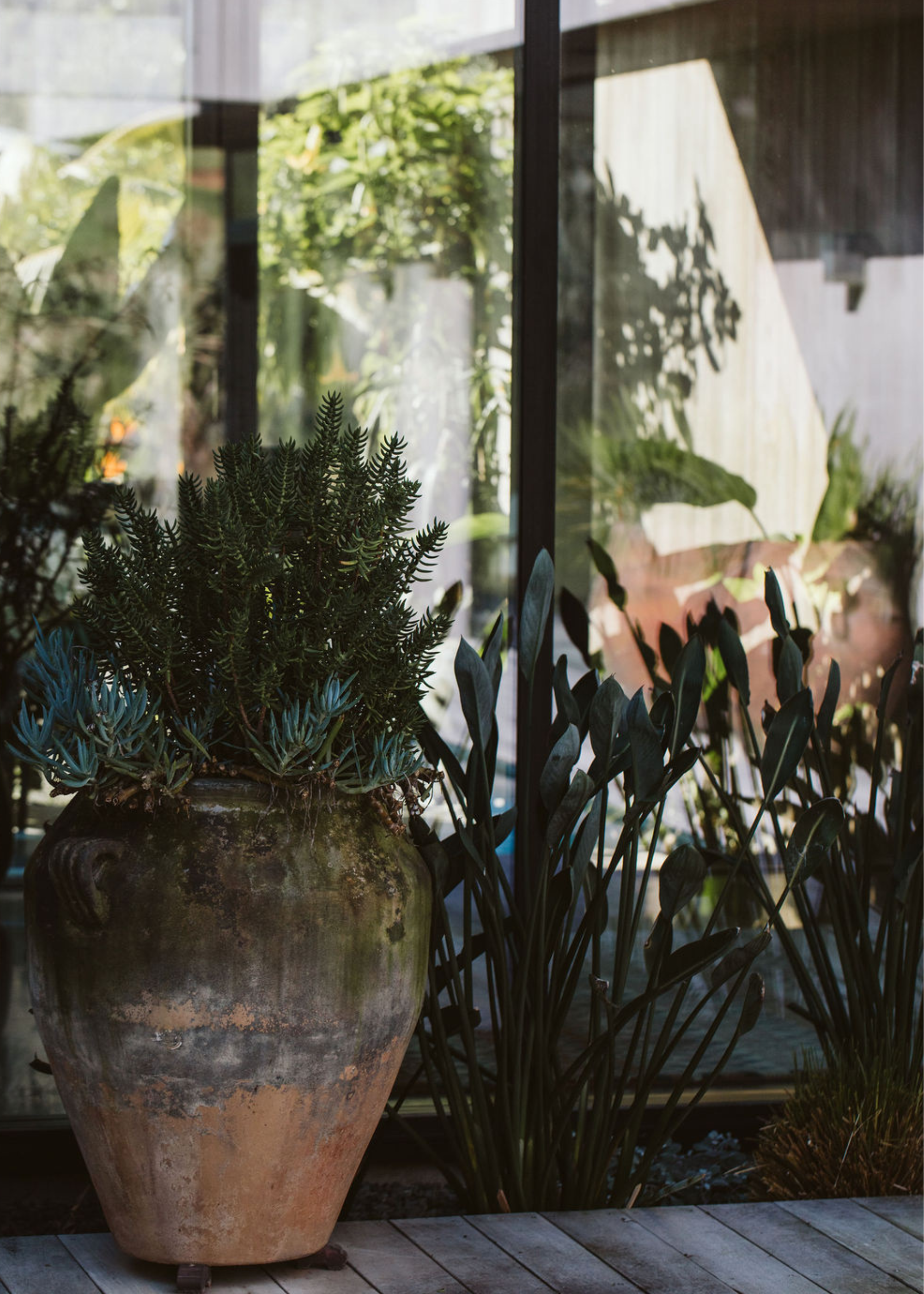 Large, ceramic planter in a coastal garden in front of a glass extension