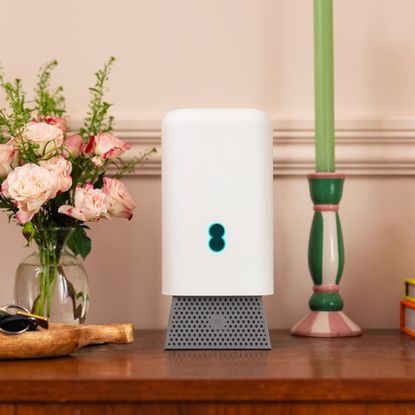 White EE router on a warm wood sideboard with a green and pink candlestick on one side and a vase of pink flowers on the other