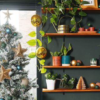 Black kitchen with wooden shelves and plants with Christmas tree