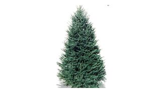 Home Depot Christmas tree cut-out